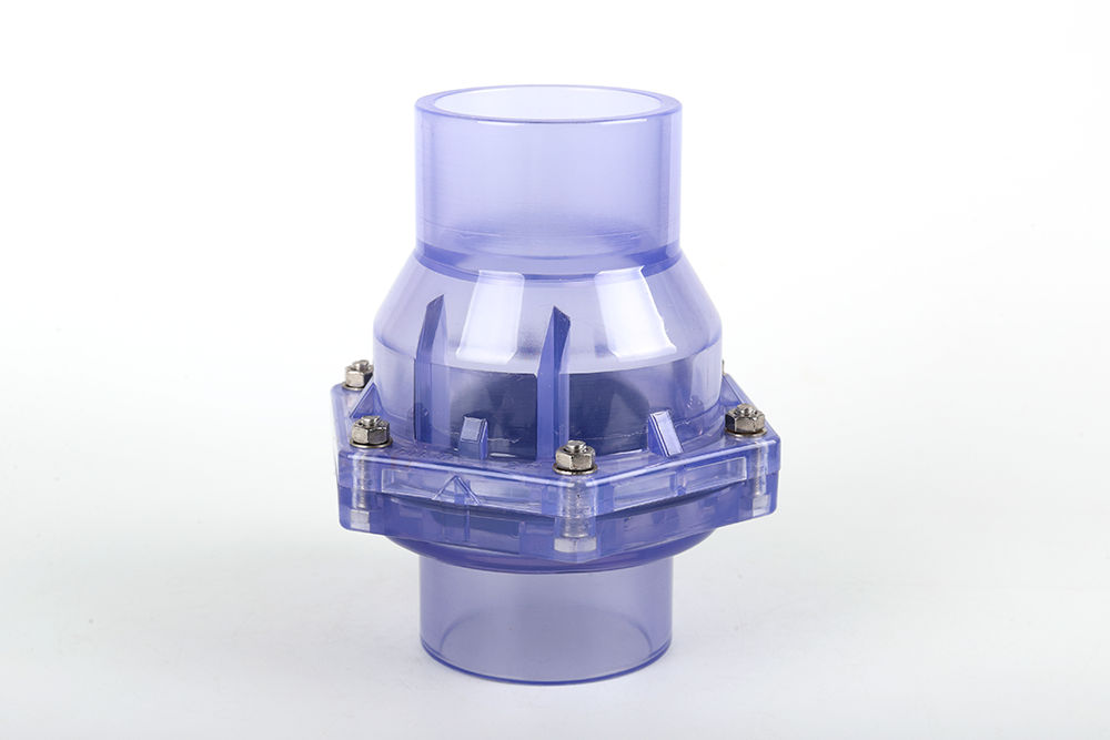 湖南透明翻板式止回阀